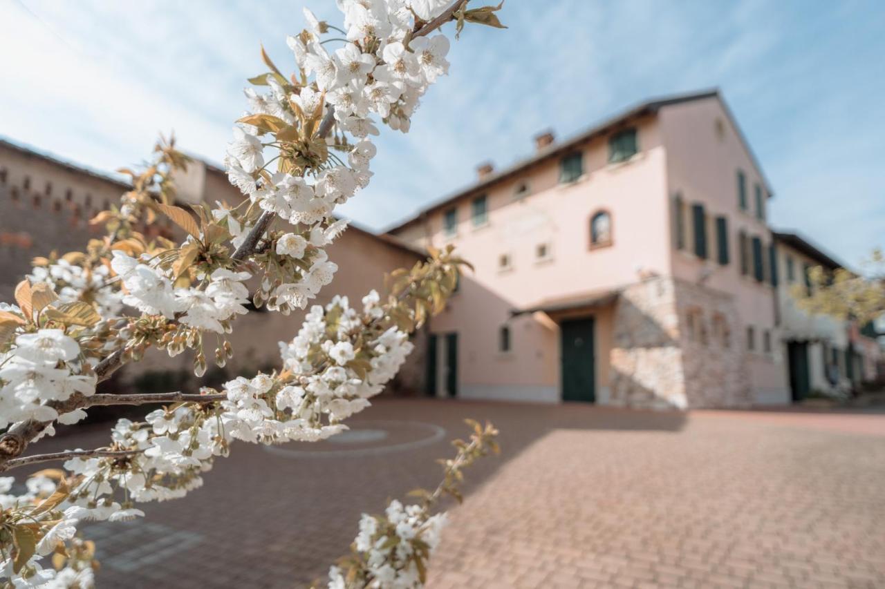 Agriturismo San Francesco Valeggio sul Mincio Exterior photo